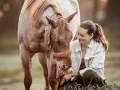 Ein Pferd zeigt, wie es einen mag, indem es seinen Kopf sanft zur Frau neigt und sie mit liebevollen Augen ansieht.