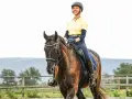 Eine Reiterin in gelbem Shirt und Reitstiefeln genießt das Aussitzen beim Reiten auf einem braunen Pferd.