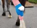 Pferdebiss am Bein: Verband aus rosa und blauer Binde schützt die Wunde. Was tun bei einem Pferdebiss?