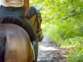 Reiterin auf einem braunen Pferd im Wald. Die Sitzschulung Reiten konzentriert sich auf eine harmonische Verbindung zwischen Reiter und Pferd.
