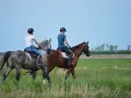 Zwei Reiterinnen auf Pferden im Feld. Die Frage "wie lange braucht man um reiten zu lernen" beschäftigt viele Anfänger.