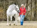 Ein weißes Pferd mit wallender Mähne schnappt nach seiner Reiterin, die es an der Longe führt.