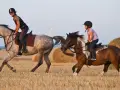 Zwei Reiterinnen, eine Frau und ein Kind, reiten auf Pferden durch ein Feld mit Strohballen.