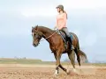 Junge Frau im Helm reitet auf einem braunen Pferd im Kreis. Sie übt das Voltigieren auf einem sandigen Reitplatz.