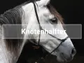 Ein graues Pferd mit einem Knotenhalfter.