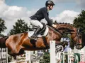 Ein Reiter im Springsattel überwindet mit seinem braunen Pferd eine Hürde. Das **Pferd ausreiten** ist hier eine elegante Disziplin.