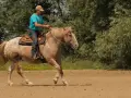 Mann reitet Pferd im Westernsattel, zeigt feine Hilfengebung beim westernreiten. Staub wirbelt auf.