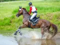 Ein Reiter durchquert mit seinem Pferd eine Wasserstelle. Ein dynamisches Bild aus dem Bereich der Pferde Sportarten.