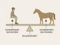 Balance pferd: Reiter und Pferd auf einer Waage, die ihre Schwerpunkte und den Balancepunkt zeigt.