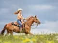 Eine Frau in Cowboykleidung reitet auf einem braunen Pferd durch eine blühende Wiese. Dieses Pferd, eine typische pferderasse mit toller Ausstrahlung, galoppiert unter dem dramatischen Himmel.
