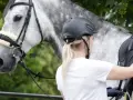 Reiterin sattelt graues Pferd. Das Lammfell am Zaumzeug und Sattel ist sauber und bereit für den Ausritt.