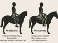 Illustrationen zeigen Dressur- und Westernsitz. Beim Westernsitz ist das Becken entspannt, das Bein weiter vorne durch die Fenderposition, ideal zum Ausmessen des westernsattels.