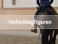 Reiter übt Hufschlagfiguren mit einem Pferd in einer Reithalle. Kinder lernen hier das Reiten.