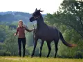 Ein junges Pferd wird frech und tänzelt vor einer jungen Frau, die es an der Longe führt. Die Szene spielt auf einer grünen Wiese vor bewaldeten Hügeln.