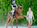 Ein Quarter Horse in Dressur-Training hebt sein Bein, während die Reiterin und die Trainerin aufmerksam zusehen.