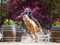 Reiterin mit Hut und dunklem Sakko reitet ein hellbraunes Pferd über Fässer, was ist Working Equitation.