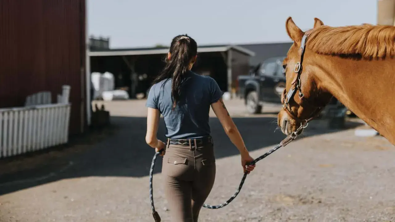 Frauen mit Pferd, bereit für Polo Sport.