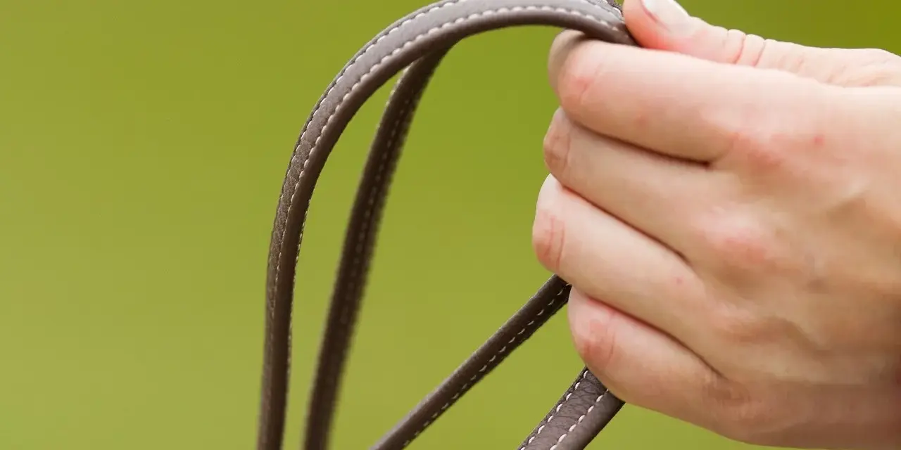 Eine Hand hält die Zügel. Die Handhaltung beim Reiten ist entscheidend für die Kommunikation mit dem Pferd.