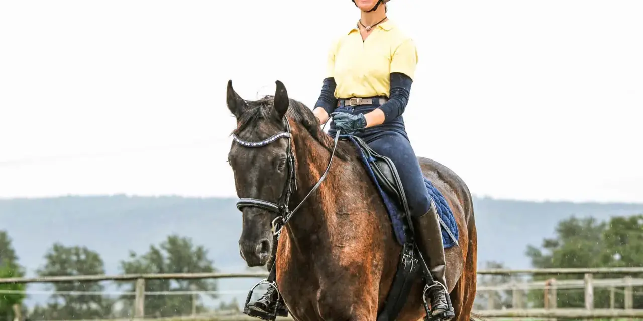 Eine Reiterin in gelbem Shirt und Reitstiefeln genießt das Aussitzen beim Reiten auf einem braunen Pferd.