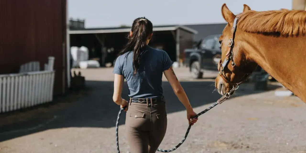 Frauen mit Pferd, bereit für Polo Sport.