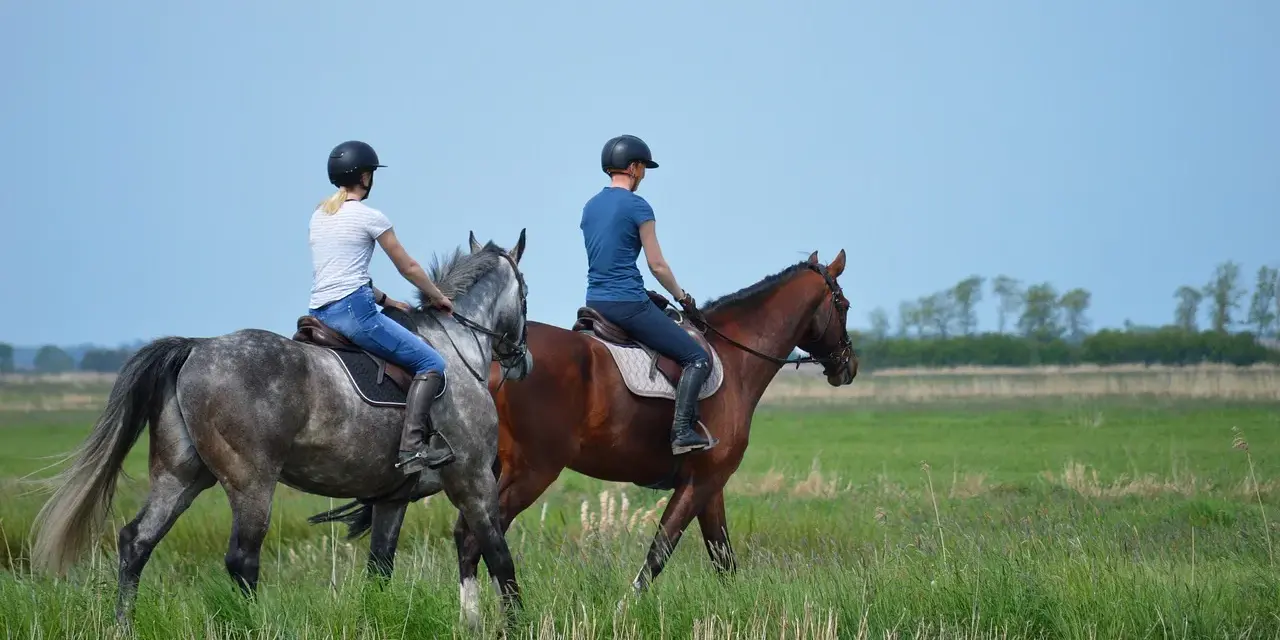 Zwei Reiterinnen auf Pferden im Feld. Die Frage "wie lange braucht man um reiten zu lernen" beschäftigt viele Anfänger.