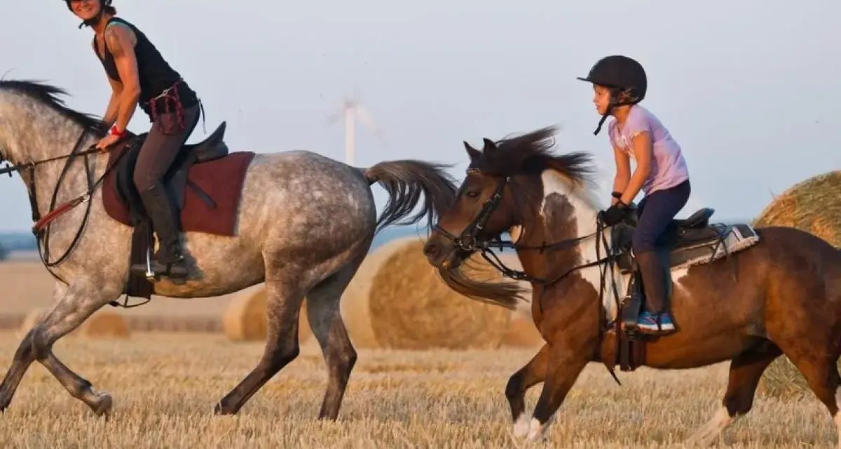 Zwei Reiterinnen, eine Frau und ein Kind, reiten auf Pferden durch ein Feld mit Strohballen.