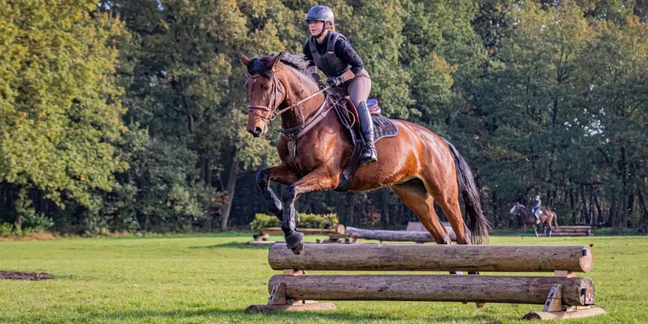 Reiterin mit Helm und Weste meistert mit ihrem braunen Pferd einen Sprung über ein Holzhindernis beim cross country reiten.
