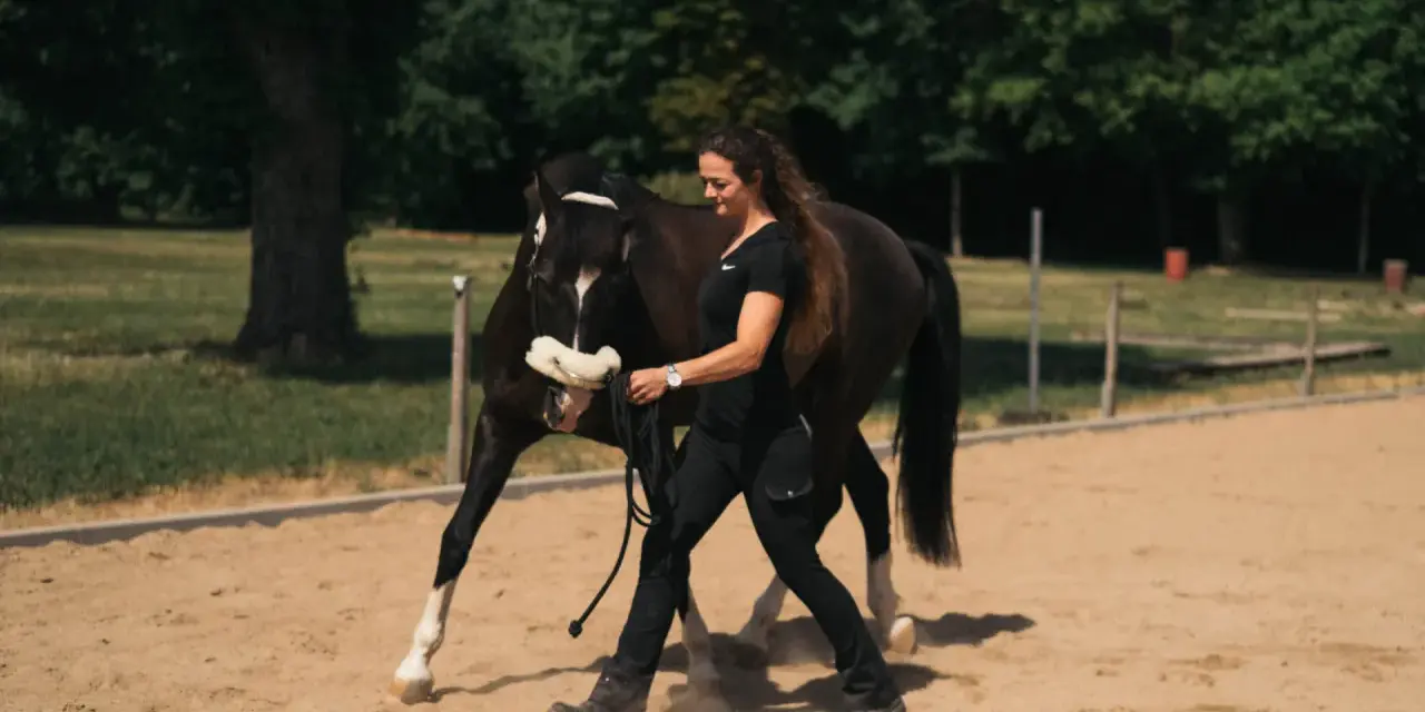 Frau führt braunes Pferd auf Sandplatz, bereit für Dressur reiten.