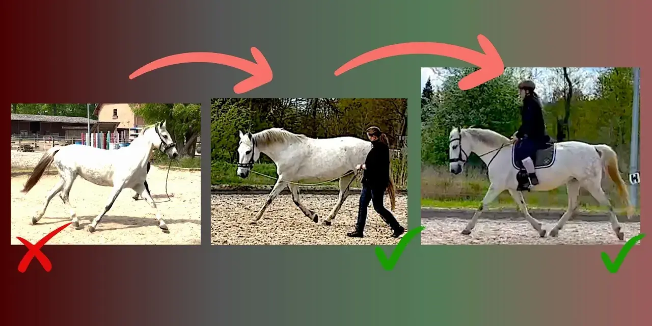 Schritt reiten: Vom falschen zum richtigen Gang für Muskelaufbau. Pferd wird korrekt geführt und geritten.