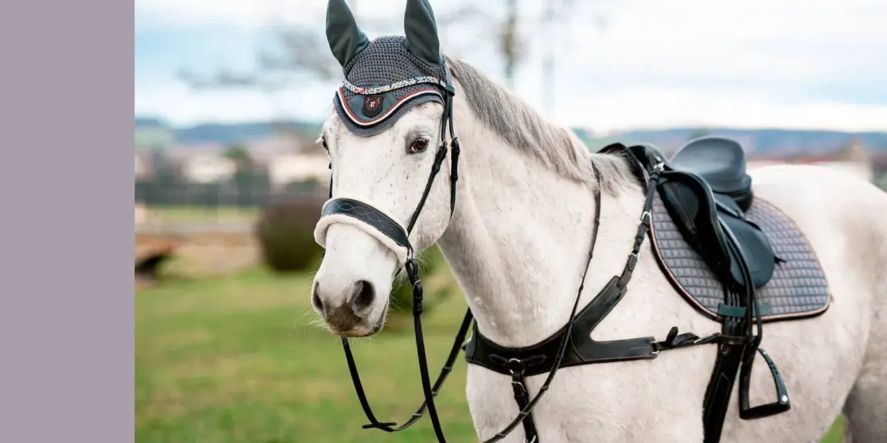Ein weißes Pferd mit einem eleganten Zaumzeug und einer Satteldecke, bereit für den Ausritt.