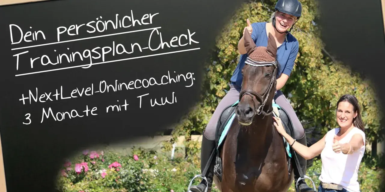 Reiterin und Trainerin mit Daumen hoch vor einem Pferd. Dein persönlicher Trainingsplan für abwechslungsreiches Training Pferd.