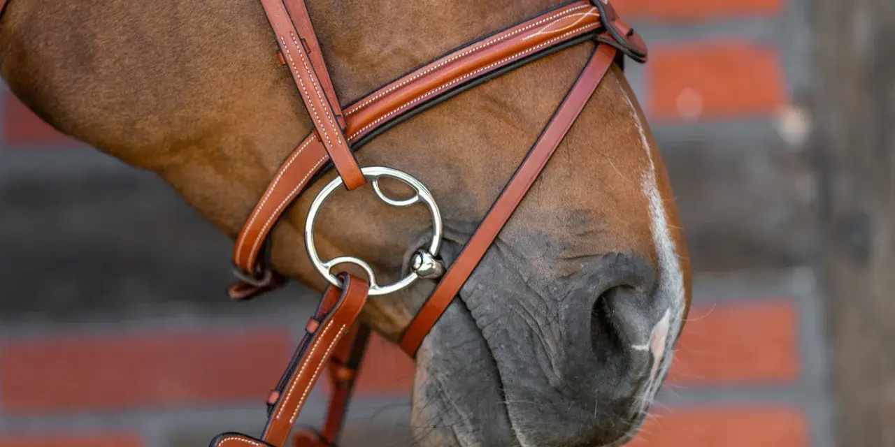 Braunes Pferd mit einem Lederzaumzeug und einem 3-Ring-Gebiss, das für eine feine Einwirkung sorgt.