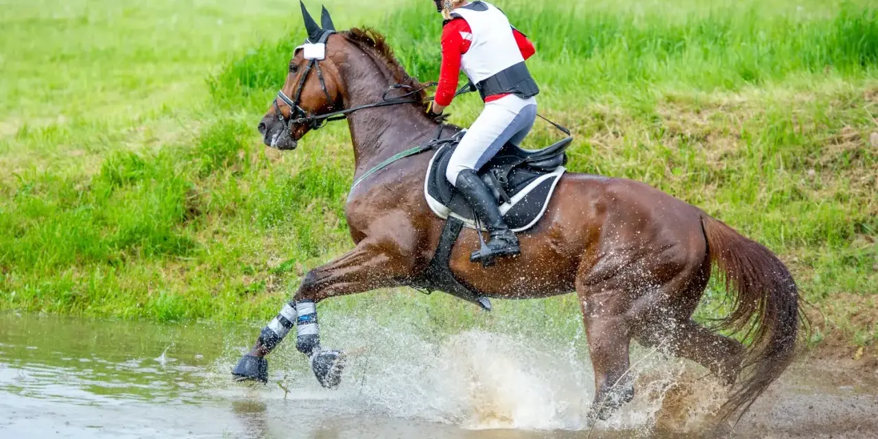 Ein Reiter durchquert mit seinem Pferd eine Wasserstelle. Ein dynamisches Bild aus dem Bereich der Pferde Sportarten.