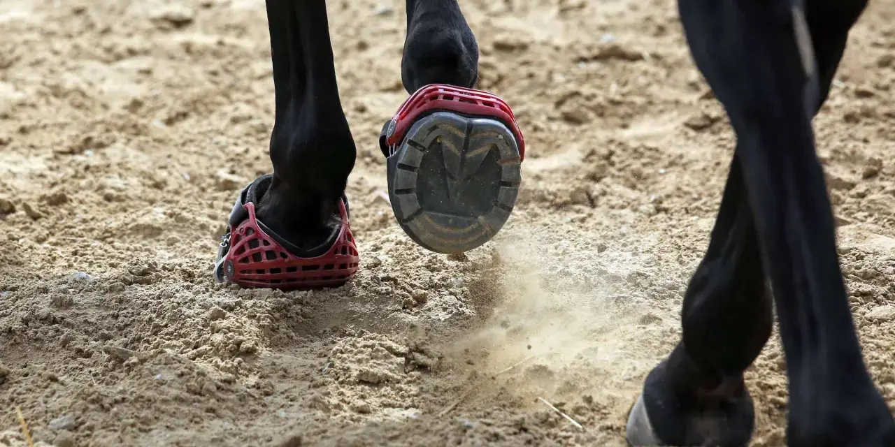 Schwarzes Pferd mit roten Hufschuhen auf sandigem Boden. Ein Hufschuh wirbelt Staub auf.