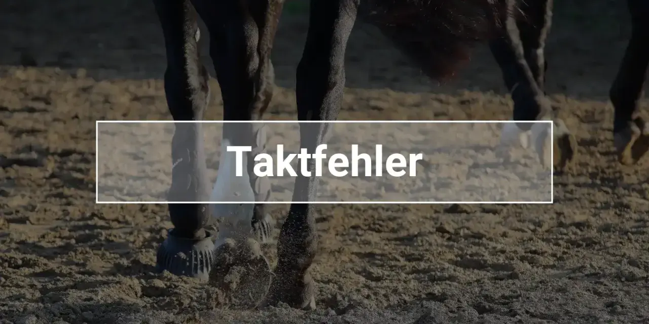 Nahaufnahme von Pferdebeinen auf Sand. Der Text "Taktfehler" ist überlagert, was auf einen Fehler im Gang des Pferdes hinweist.