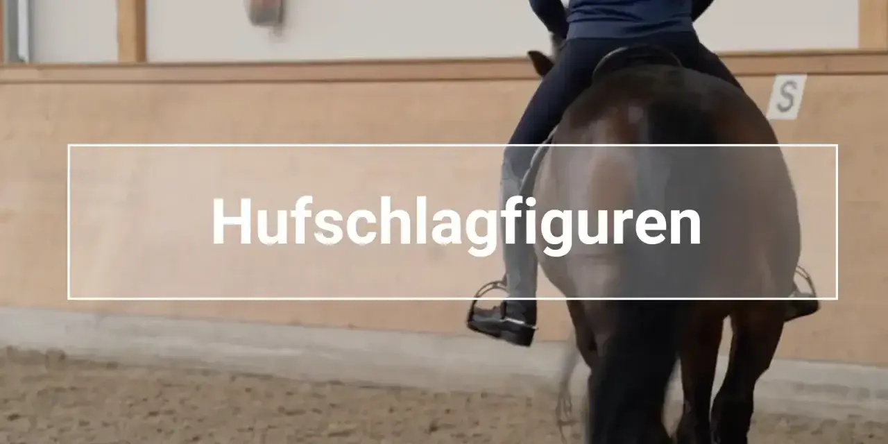 Reiter übt Hufschlagfiguren mit einem Pferd in einer Reithalle. Kinder lernen hier das Reiten.