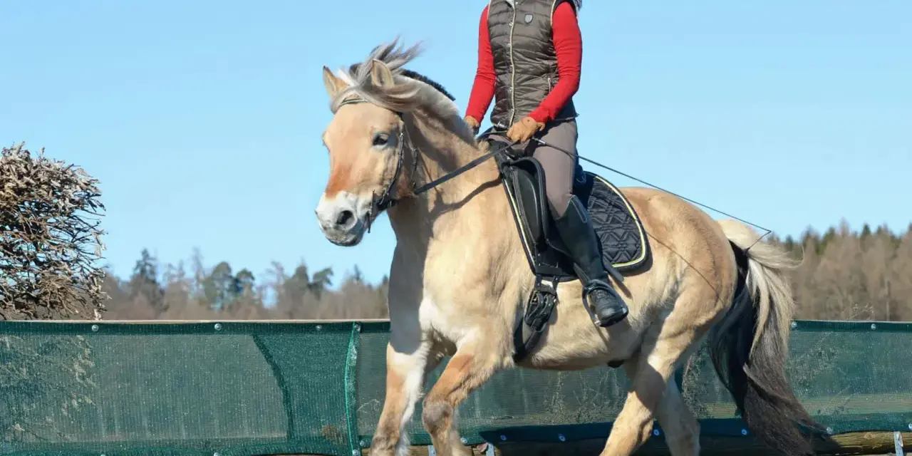 Reiterin auf einem hellbraunen, buckelnden Pferd mit langer Mähne. Das Pferd hebt die Vorderbeine hoch.