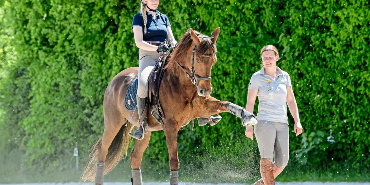 Ein Quarter Horse in Dressur-Training hebt sein Bein, während die Reiterin und die Trainerin aufmerksam zusehen.