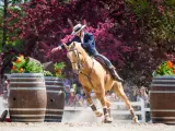 Reiterin mit Hut und dunklem Sakko reitet ein hellbraunes Pferd über Fässer, was ist Working Equitation.