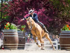 Reiterin mit Hut und dunklem Sakko reitet ein hellbraunes Pferd über Fässer, was ist Working Equitation.