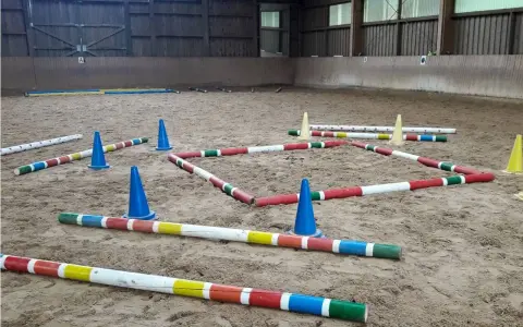 Bunte Stangen und blaue Kegel bilden einen Parcours in einer Reithalle. Der **Abstand der Trabstangen** ist für das Training eines Pferdes vorbereitet.