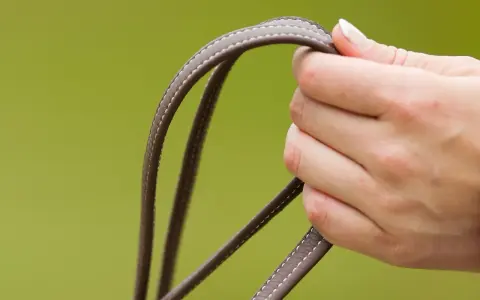 Eine Hand hält die Zügel. Die Handhaltung beim Reiten ist entscheidend für die Kommunikation mit dem Pferd.