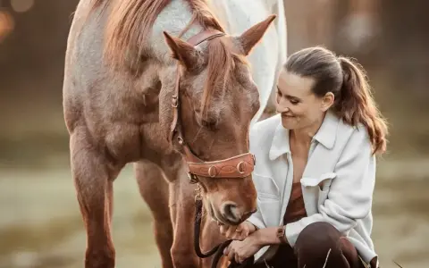 Ein Pferd zeigt, wie es einen mag, indem es seinen Kopf sanft zur Frau neigt und sie mit liebevollen Augen ansieht.