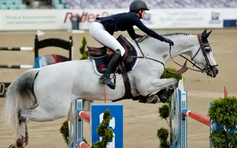 Reiterin und Schimmel springen über Hindernis. Der Aufbau der **Springgymnastik** zeigt die Eleganz und Kraft des Pferdesports.