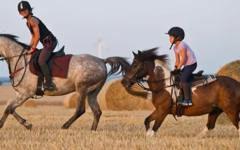 Zwei Reiterinnen, eine Frau und ein Kind, reiten auf Pferden durch ein Feld mit Strohballen.