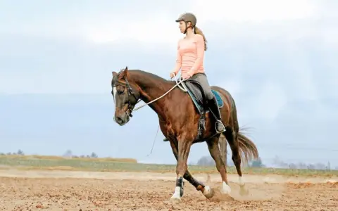 Junge Frau im Helm reitet auf einem braunen Pferd im Kreis. Sie übt das Voltigieren auf einem sandigen Reitplatz.