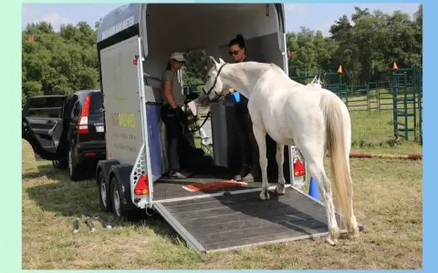 Ein weißes Pferd wird von zwei Frauen in einen Pferdeanhänger verladen.
