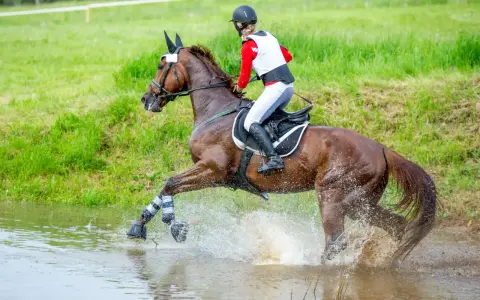 Ein Reiter durchquert mit seinem Pferd eine Wasserstelle. Ein dynamisches Bild aus dem Bereich der Pferde Sportarten.