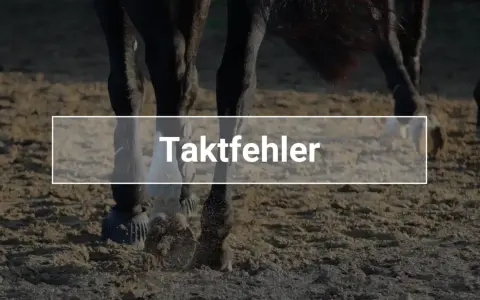 Nahaufnahme von Pferdebeinen auf Sand. Der Text "Taktfehler" ist überlagert, was auf einen Fehler im Gang des Pferdes hinweist.