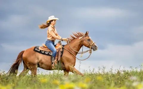 Eine Frau in Cowboykleidung reitet auf einem braunen Pferd durch eine blühende Wiese. Dieses Pferd, eine typische pferderasse mit toller Ausstrahlung, galoppiert unter dem dramatischen Himmel.